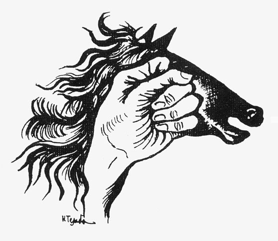 Javier Tafur González